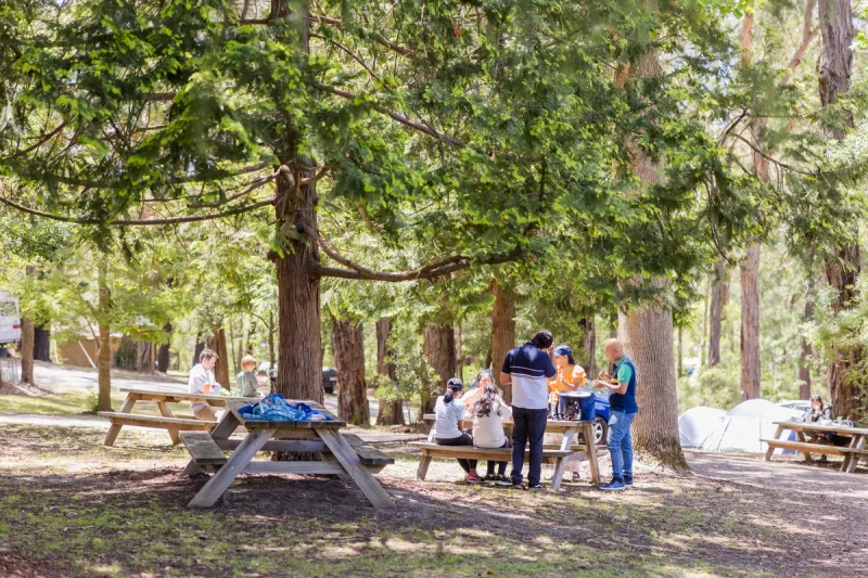 Camping photo 2
