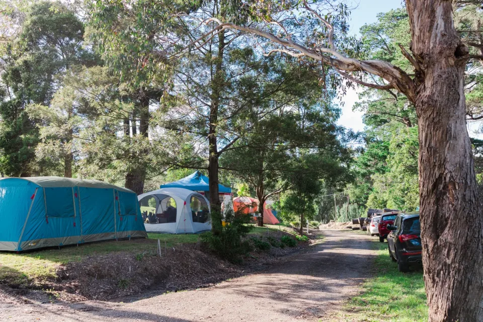 campsites in a bushland setting